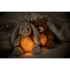 Ours Caspar « Light at Night »
