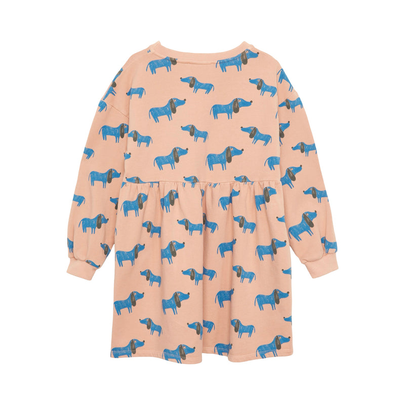 Robe Blue dog