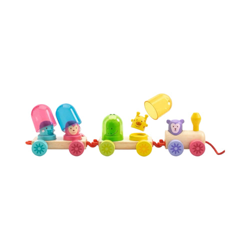 Rainbow train