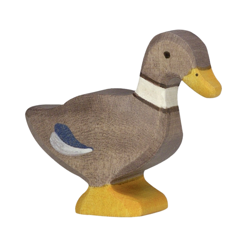 Duck