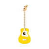 Guitare acoustique Pro Loog