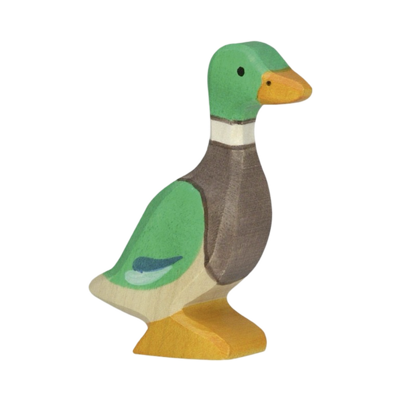 Canard