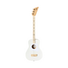 Guitare acoustique Pro Loog