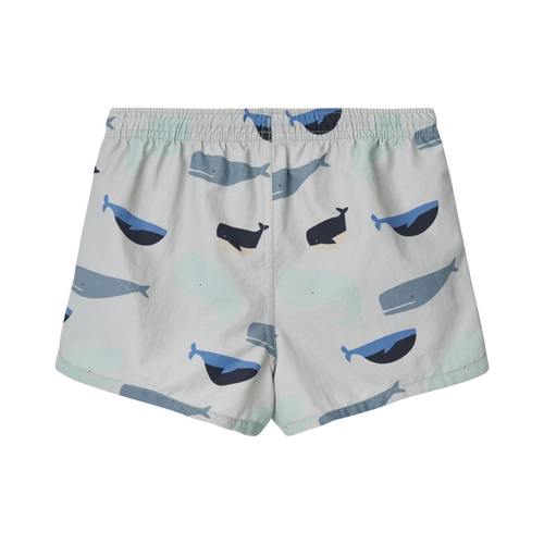 Aiden printed board shorts