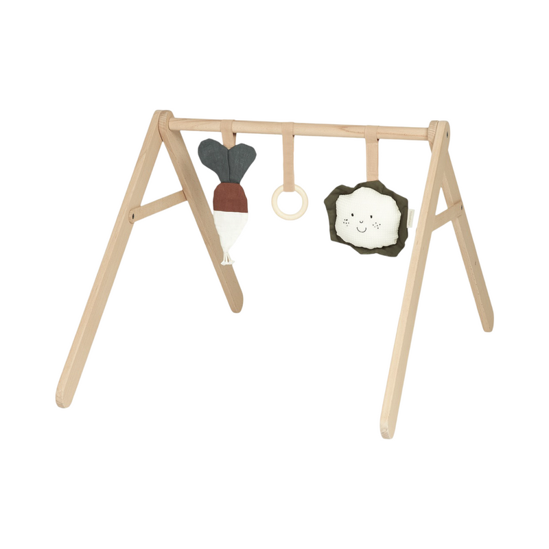 Baby gym toys veggies