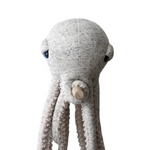 The big octopus