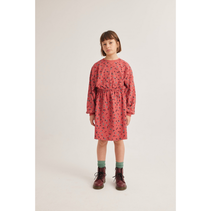 Elodie dress