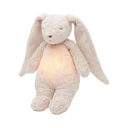 Organic humming bunny with a lamp