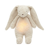 Organic humming bunny with a lamp