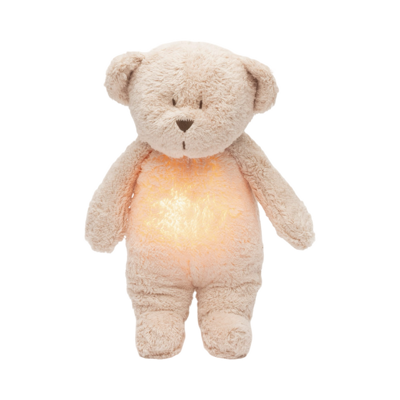 Organic humming bear with a lamp