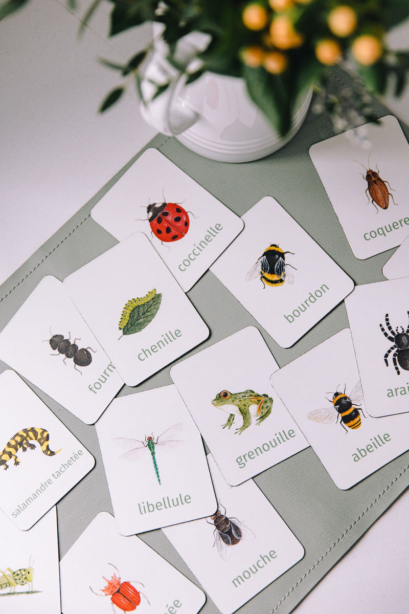 Set of learning magnets Bugs & Co (French version)