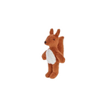 Baby squirrel