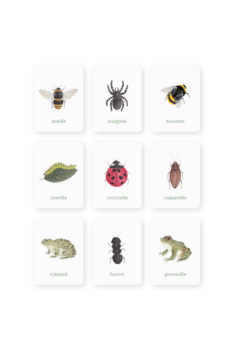 Set of learning magnets Bugs & Co (French version)