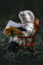 Gilet de loup
