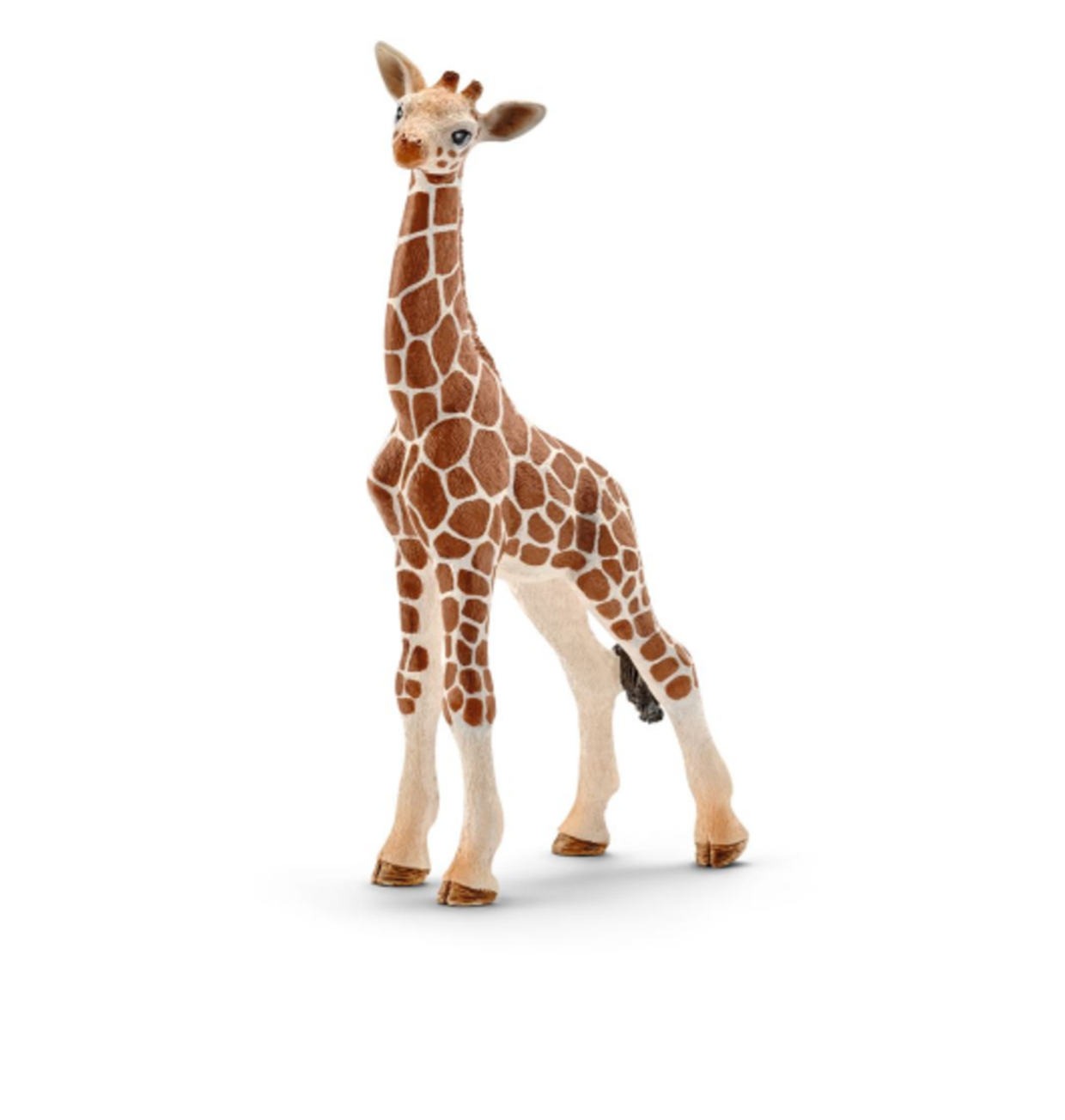 Le best sale giraffe baby