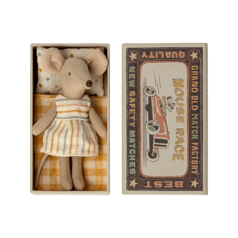Big sister mouse in box