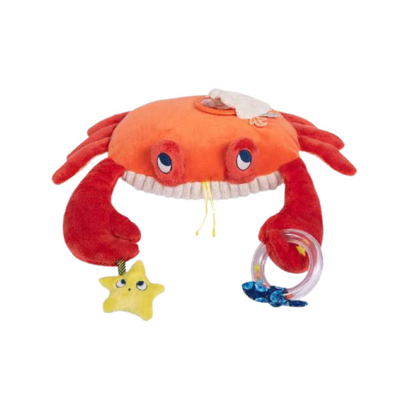 Grand crabe d'activité