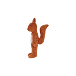 Small squirrel
